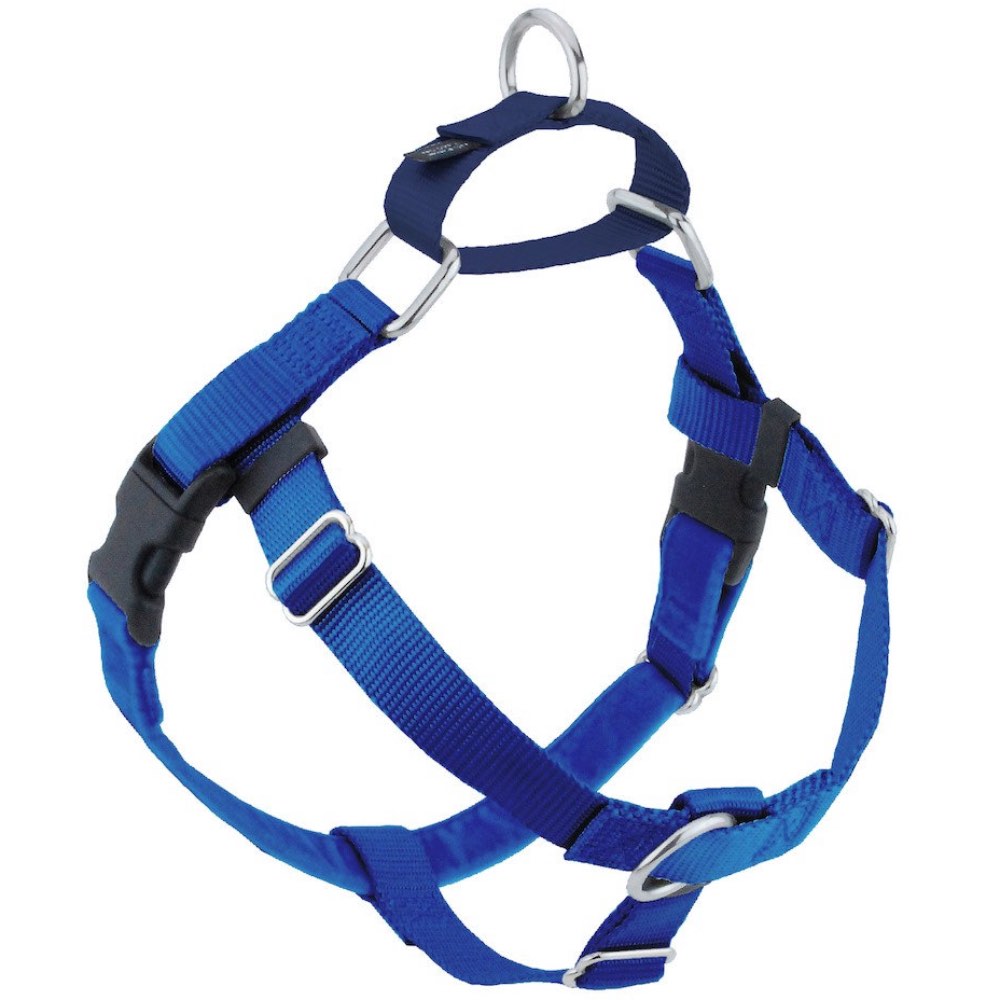 dog trainer harness