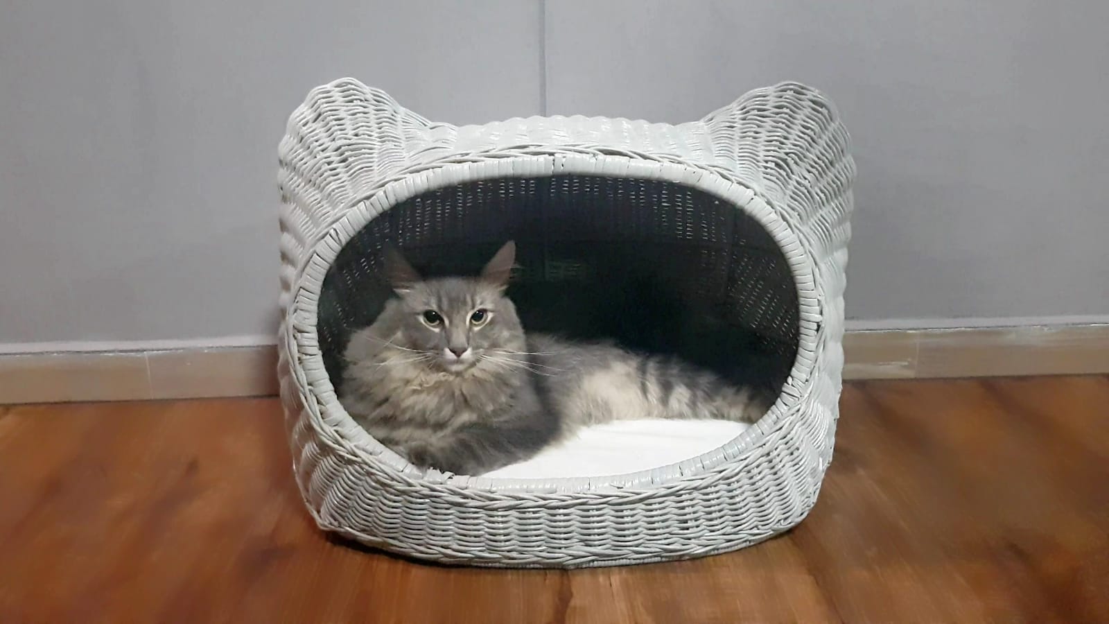 Furnish Niko Cat Bed Ash Grey Kohepets