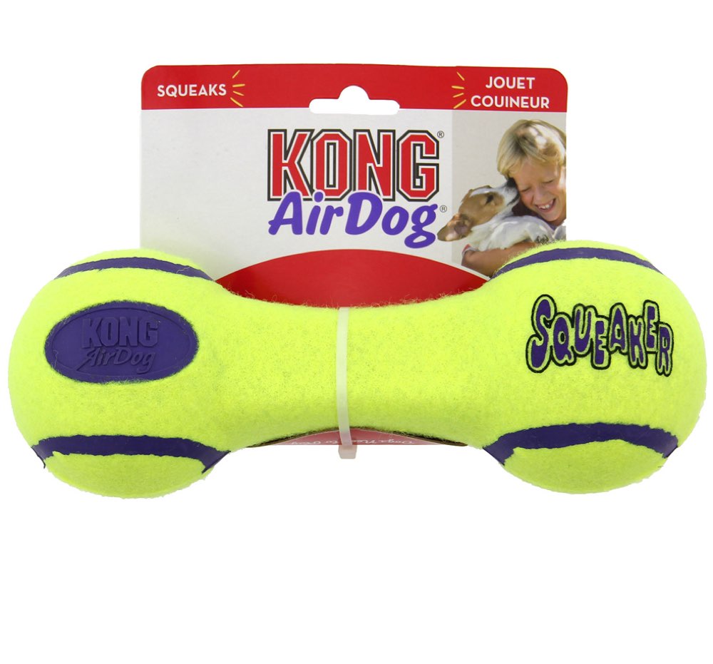 kong air dog