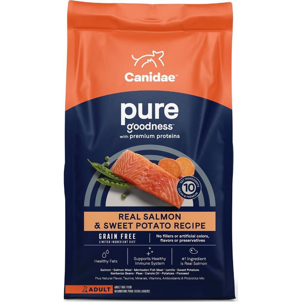 salmon grain free