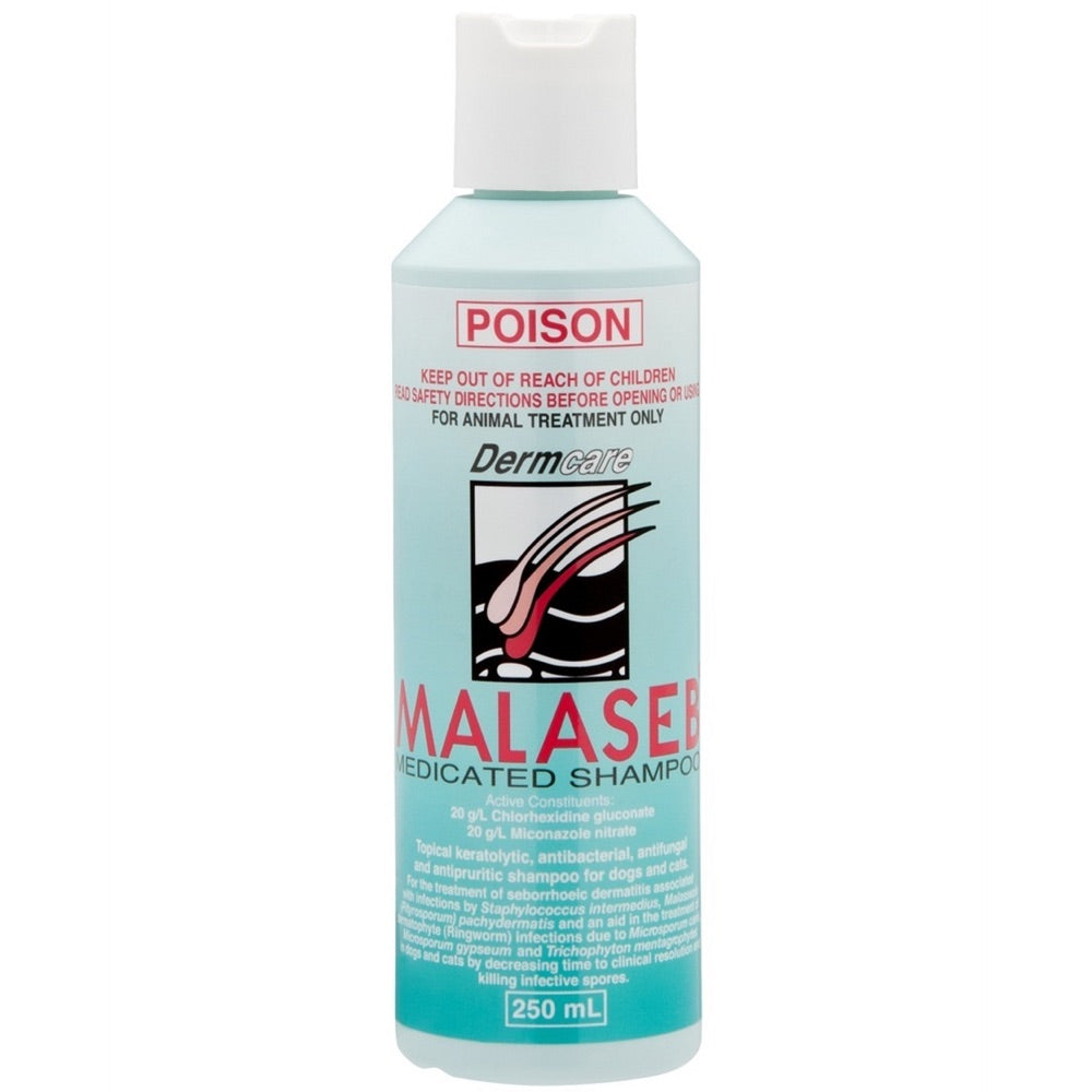 malaseb shampoo pets at home