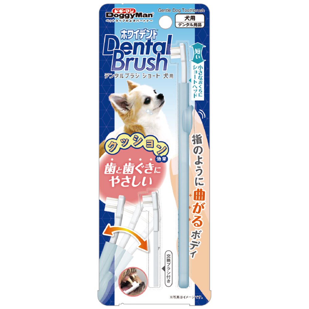 best dog toothbrush which one is right for your dog