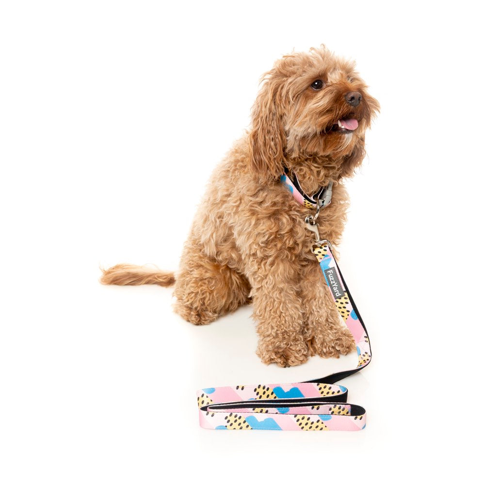 dog harness for toy poodle