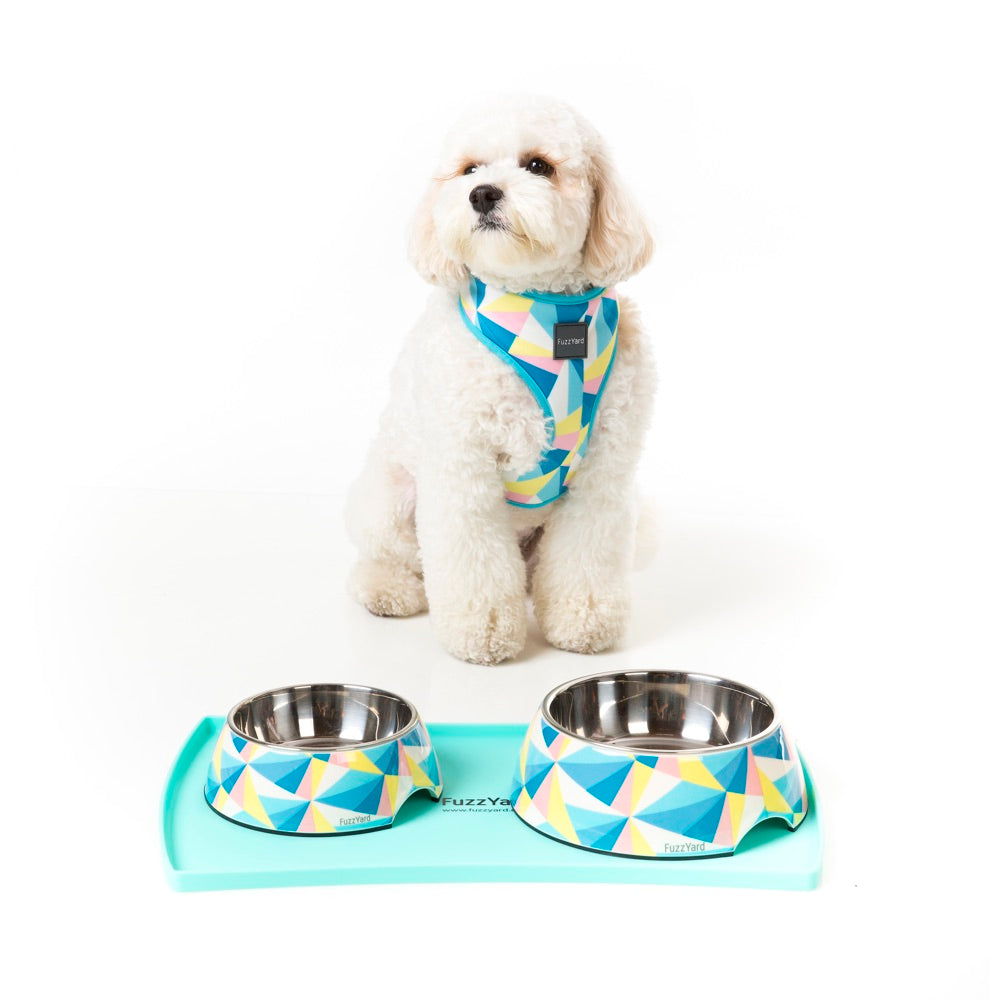 beach dog bowl