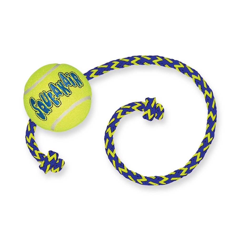 dog toy on rope