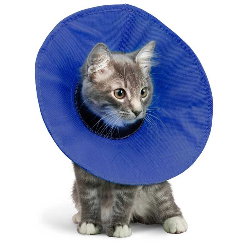 Soft cone collar cat