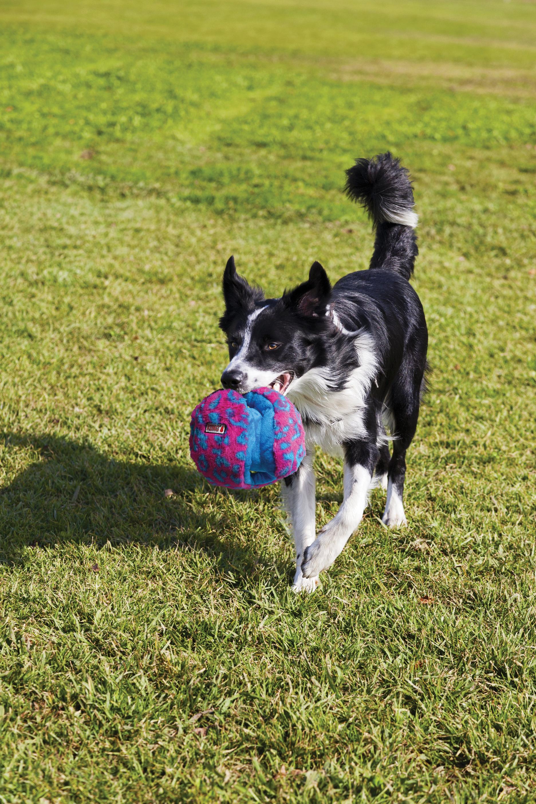 green kong dog toy