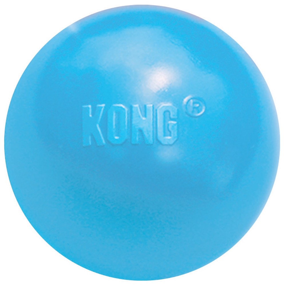 kong puppy ball