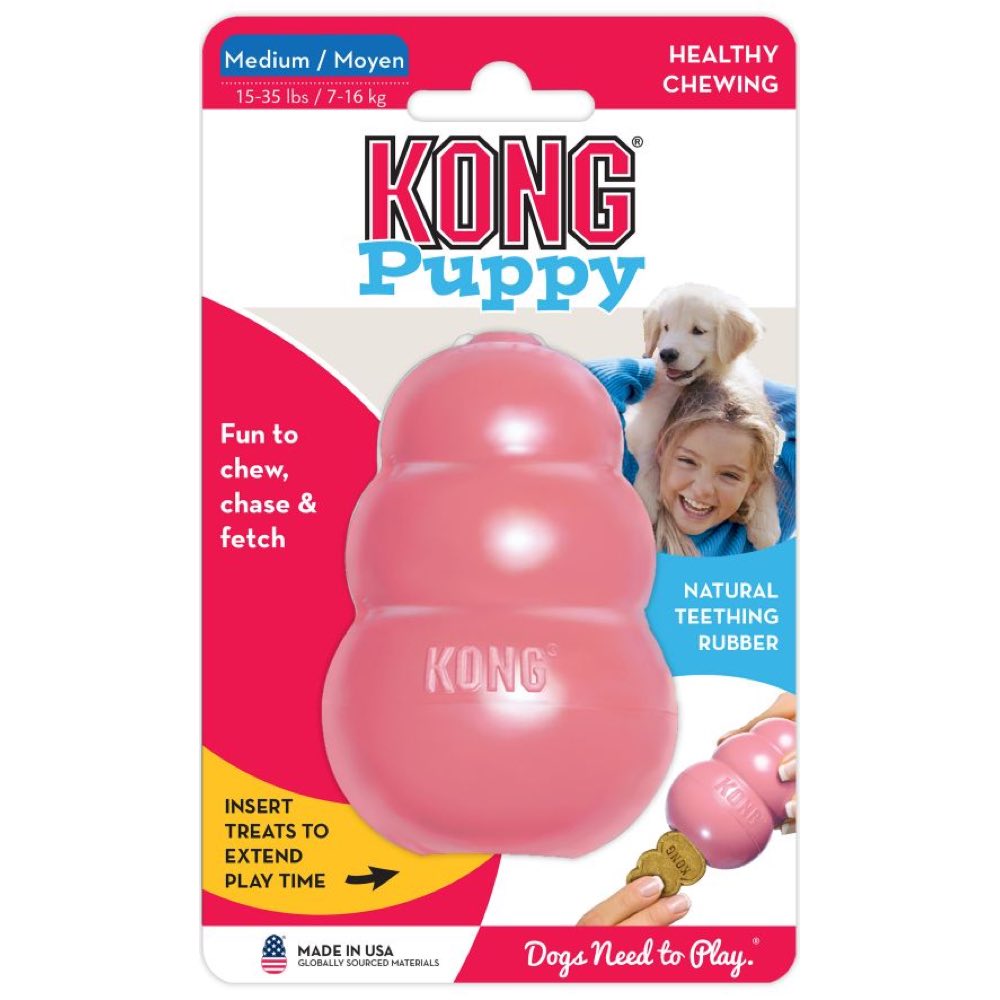 what can i put in my puppies kong