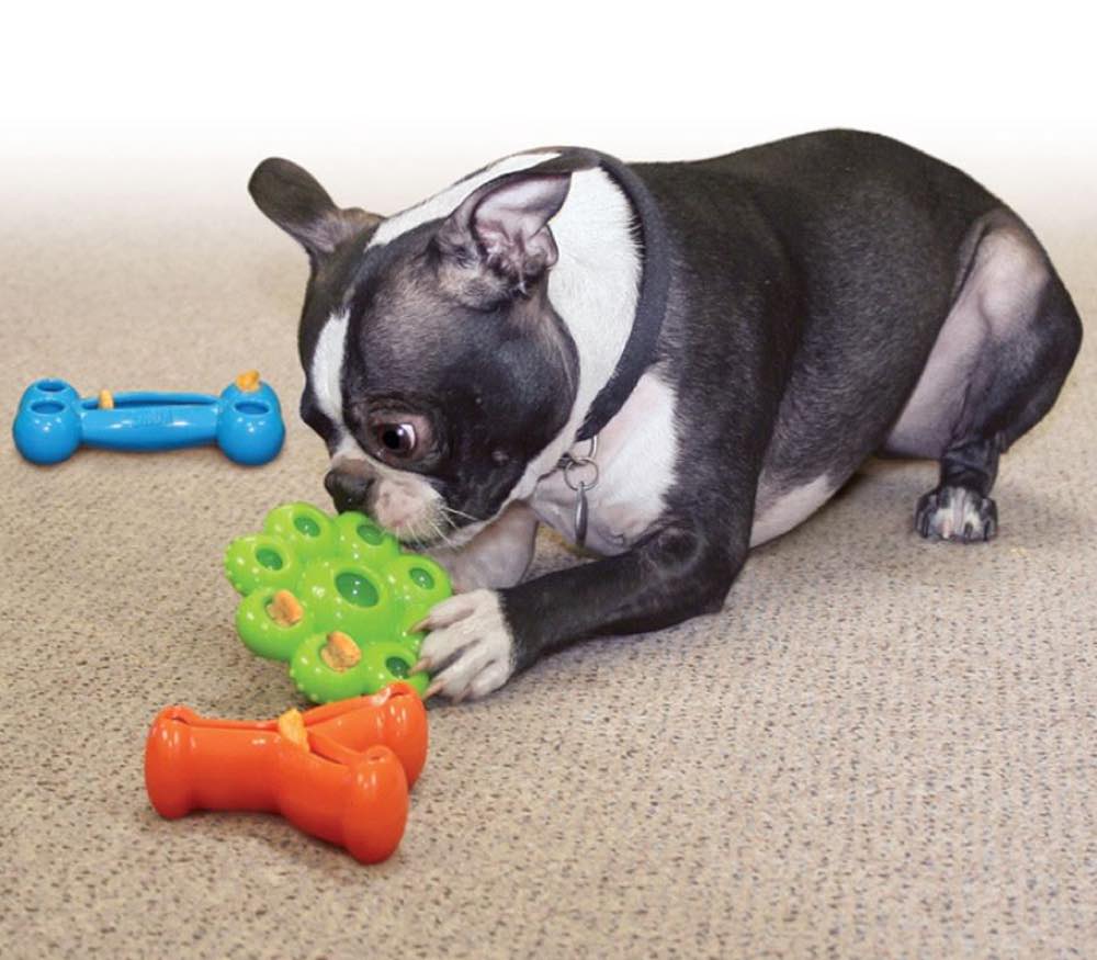wishbone dog toy