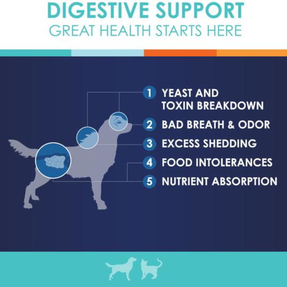 are pancreatic enzymes safe for dogs