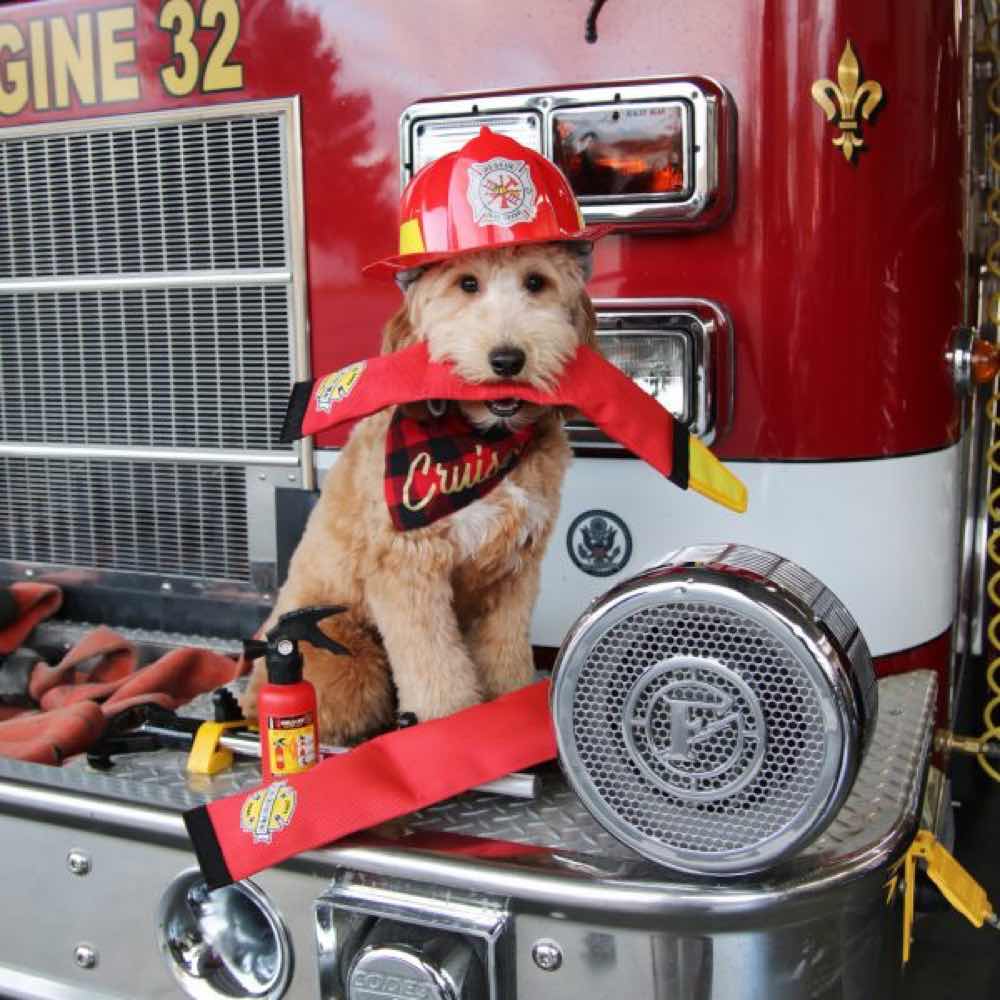 fire hose material dog toy