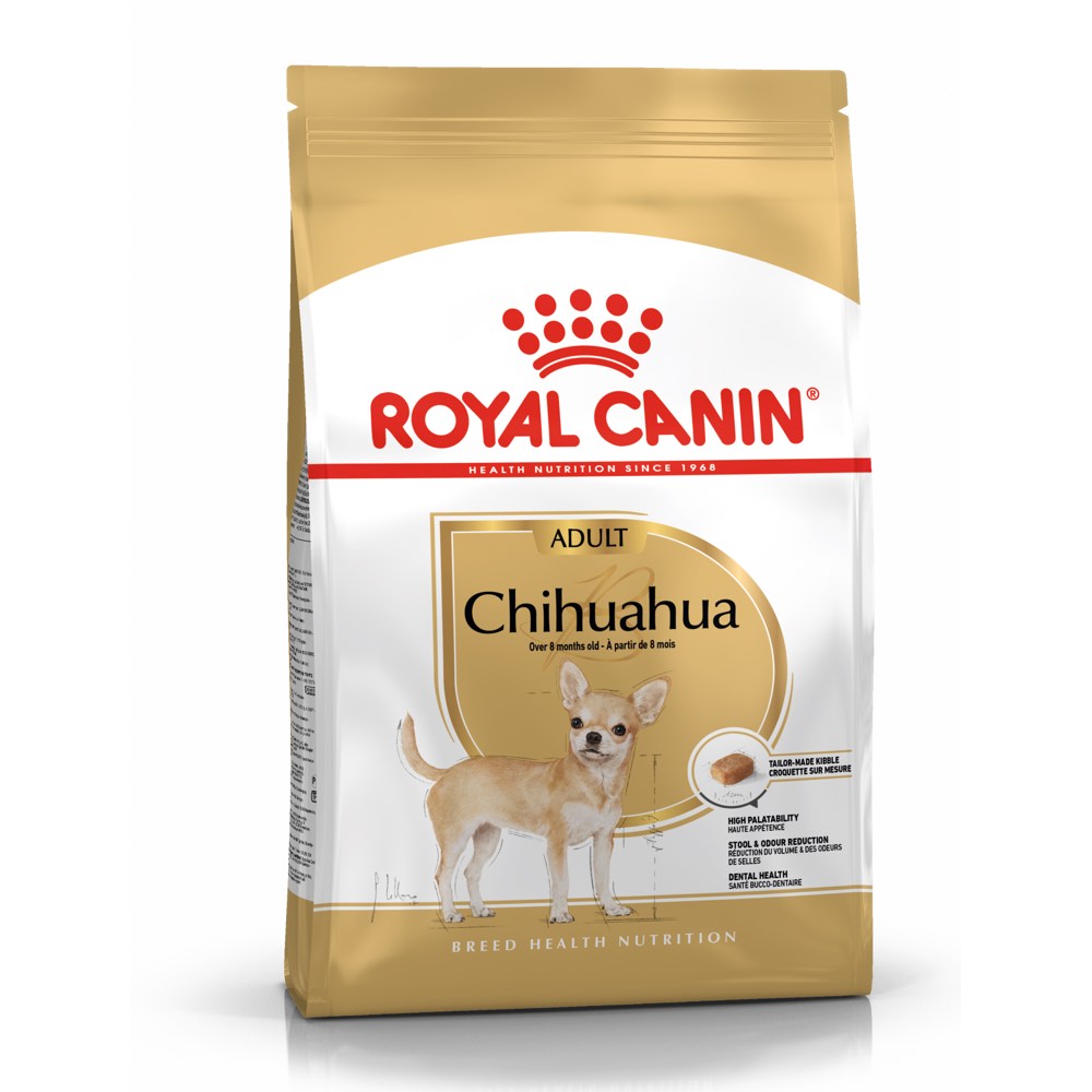 are chihuahuas a healthy dog breed