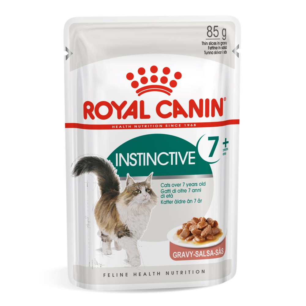 renal cat food in jelly