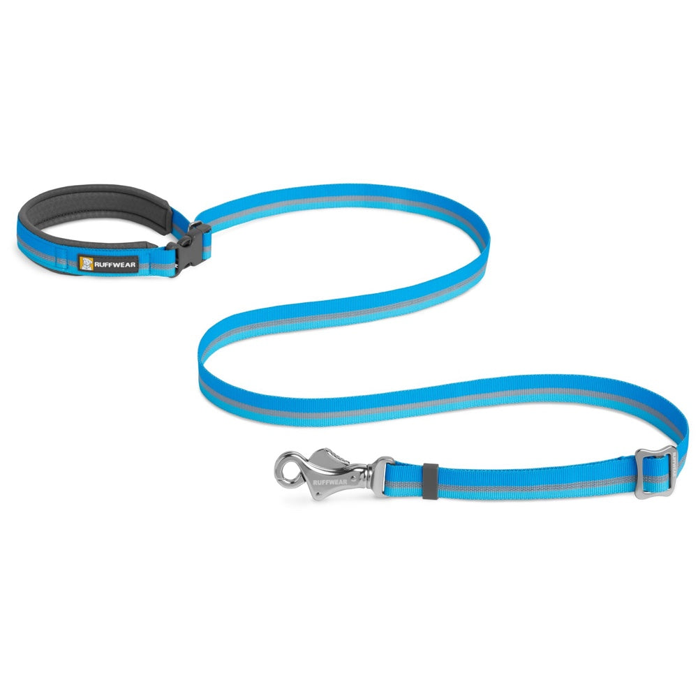 leashes for dogs