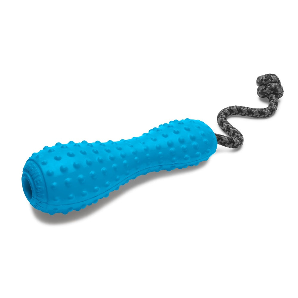 dog toy on rope