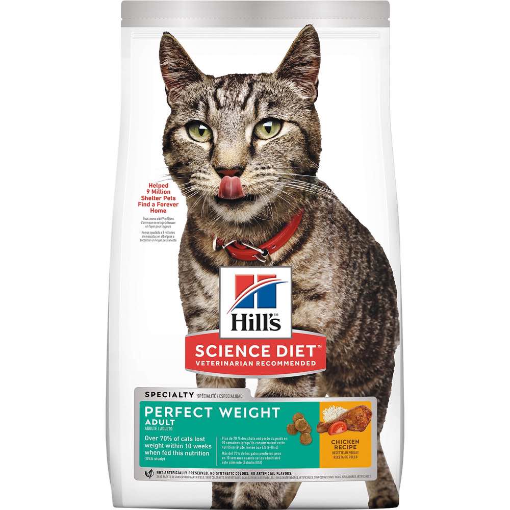 best cat food for adult cats