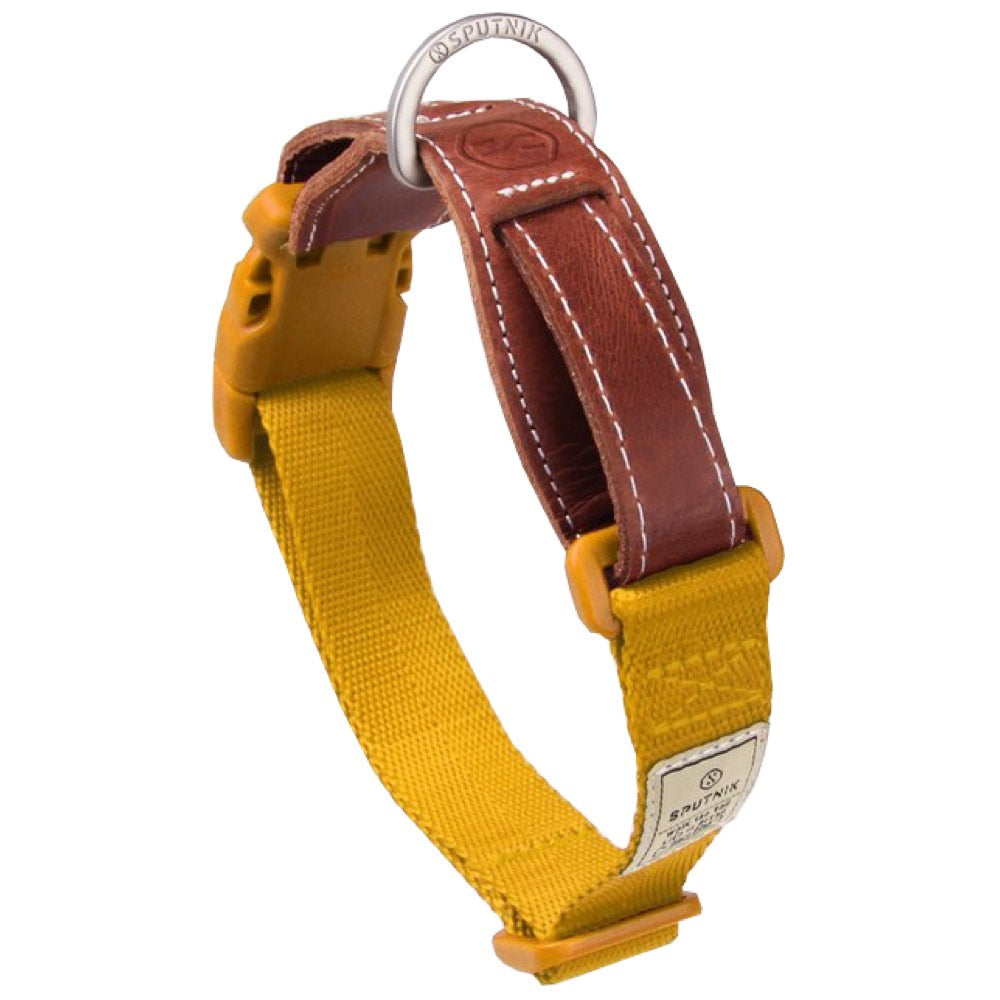 leather vs nylon dog collar