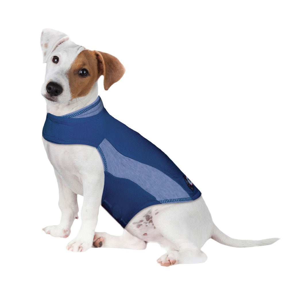 thundershirt for dogs xl