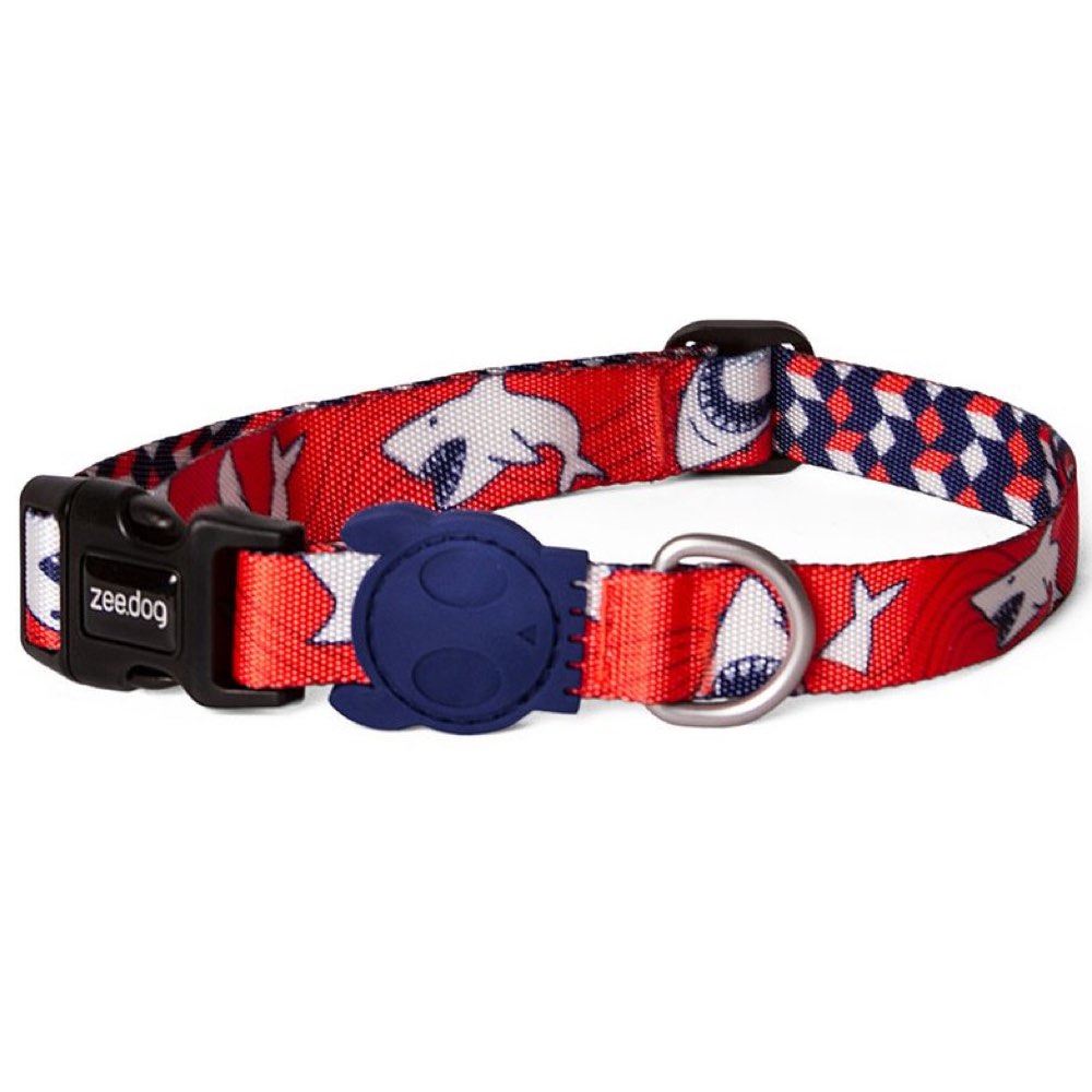 chewy dog collars