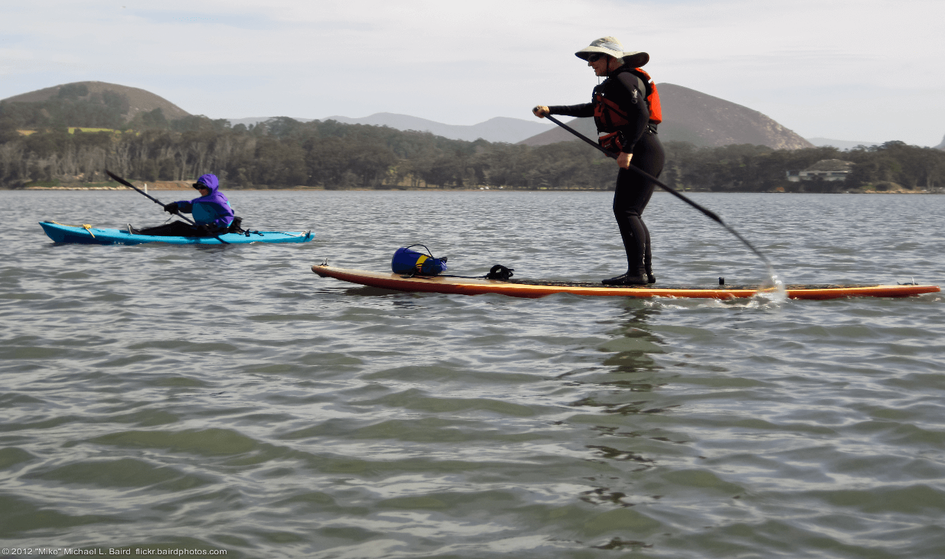 Paddle Board vs Kayak