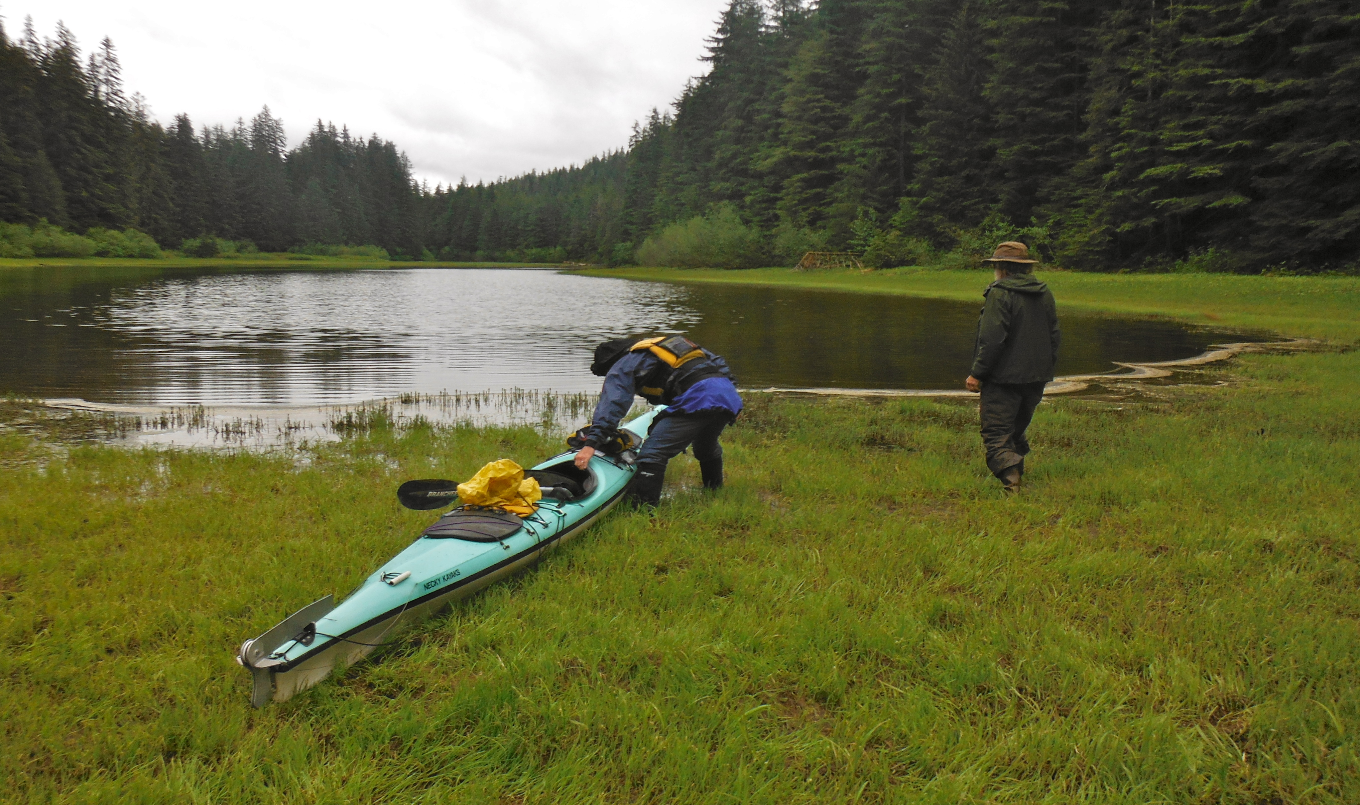 Paddle Board vs Kayak - marsh