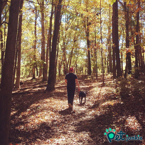 Go on a favorite walk or hike with your best friend