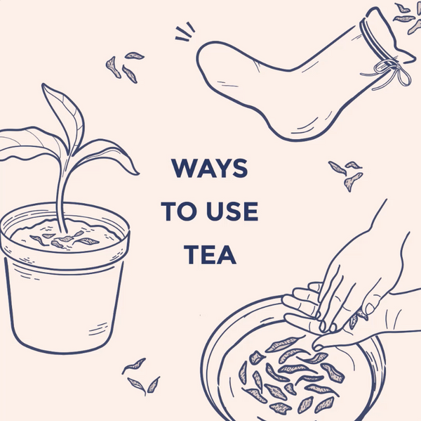 ways-to-reuse-tea-leaves-hvala-singapore