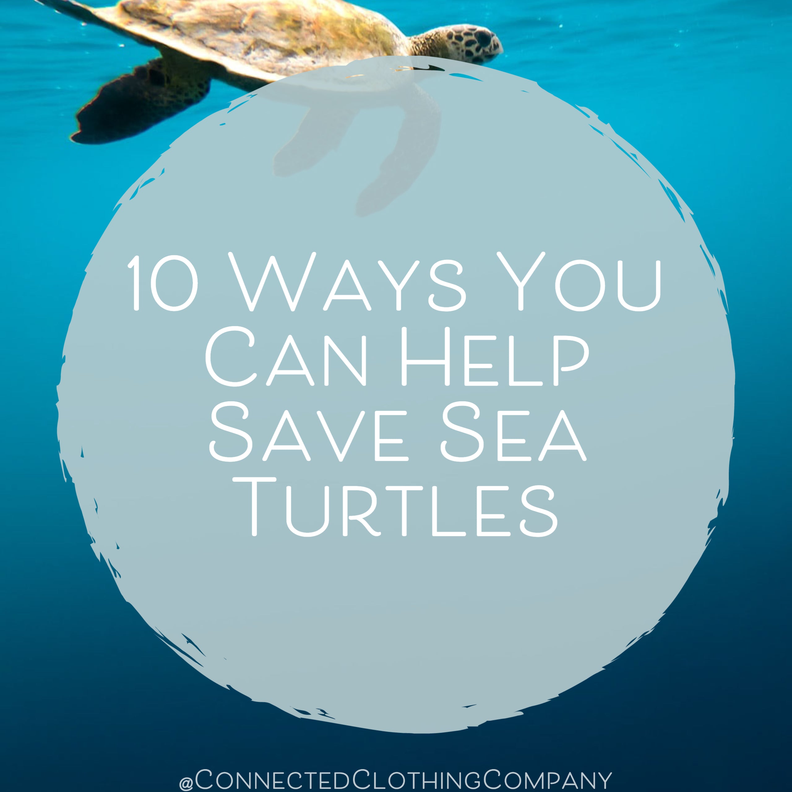 How to Protect Sea Turtles 