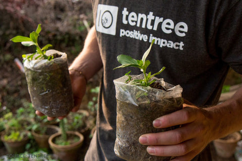Tentree Member Planting Trees - sweetsherriloudesigns Blog - 7 Eco-friendly Companies That Give Back To The Planet