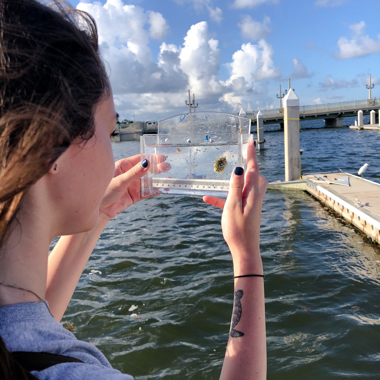 nighttidemetalworks founder Lexy holding viewing chamber with juvenile striped burrfish on a pier