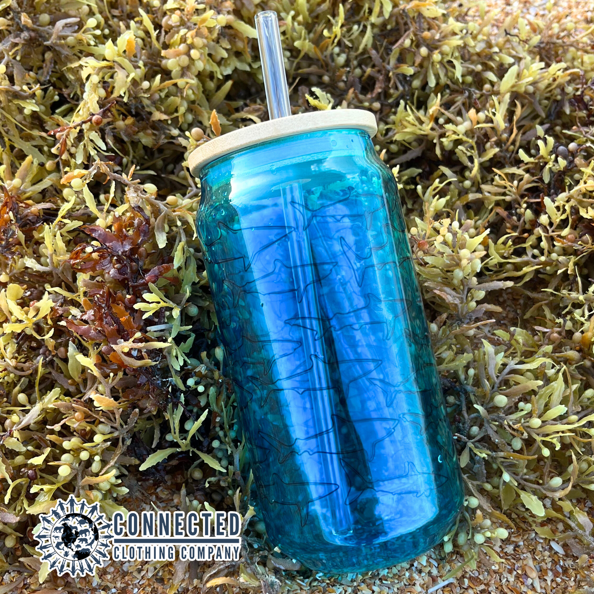 Shark Species Clear Blue Glass Can - nighttidemetalworks - 10% of proceeds donated to ocean conservation