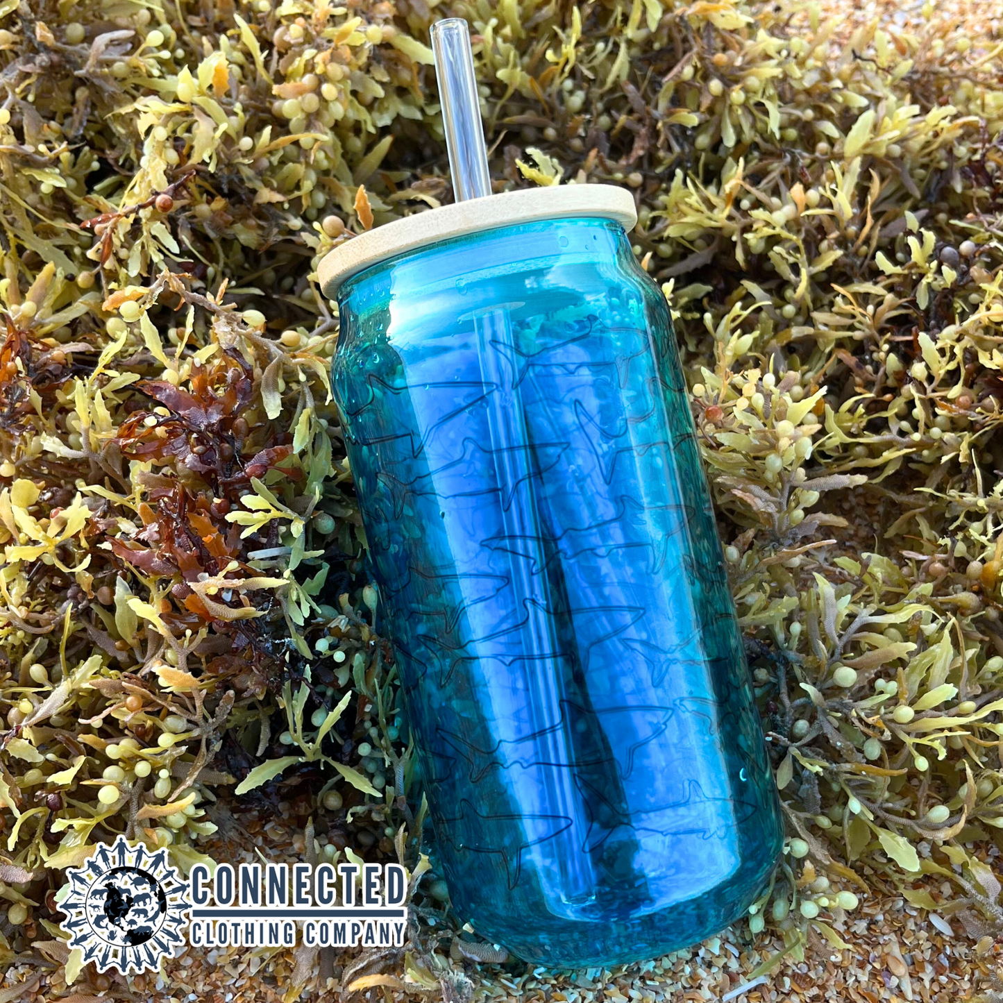 Shark Species Clear Blue Glass Can - getpinkfit - 10% of proceeds donated to ocean conservation