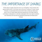 Shark Ocean Glass Can - sweetsherriloudesigns - 10% of proceeds donated to ocean conservation