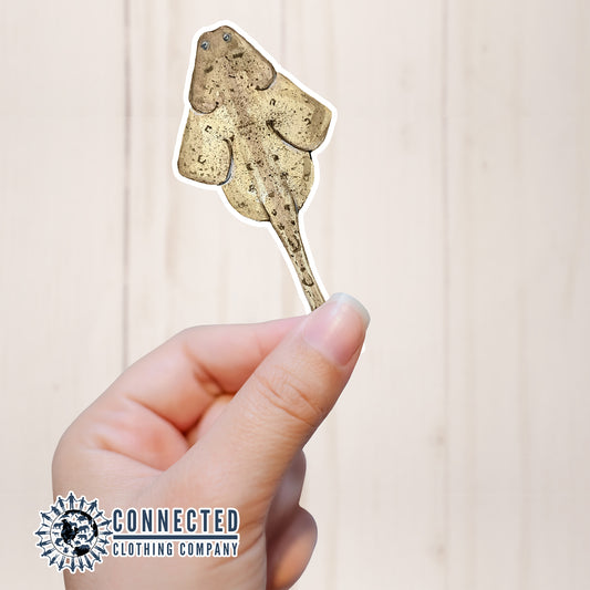 Hand Holding Angel Shark Watercolor Sticker - sweetsherriloudesigns - Ethical and Sustainable Apparel - portion of profits donated to shark conservation