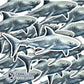 Closeup of Great White Shark Watercolor Sticker - sweetsherriloudesigns - Ethical and Sustainable Apparel - portion of profits donated to shark conservation