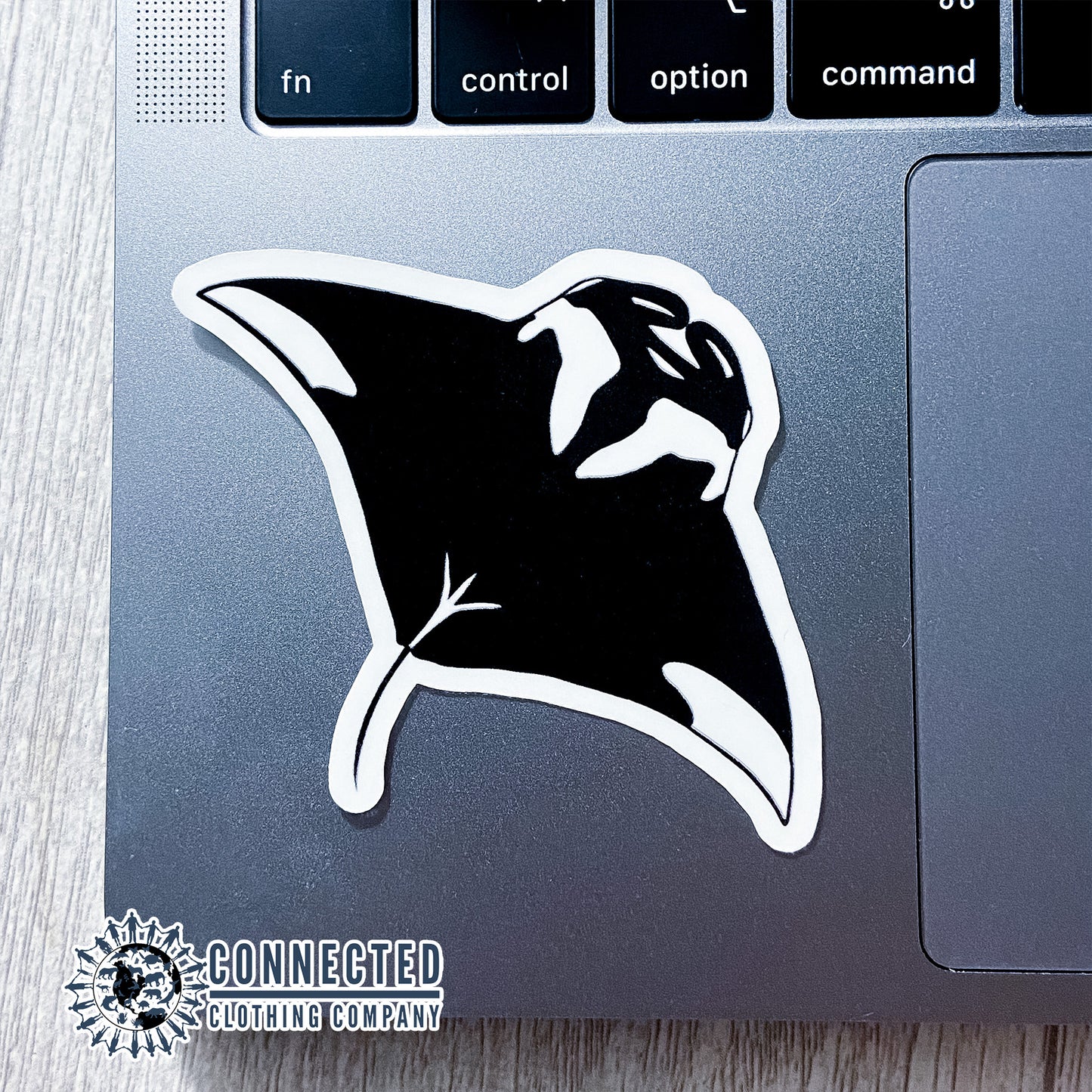 Close up of Giant Manta Ray Sticker - sweetsherriloudesigns - 10% of profits donated to the Mission Blue ocean conservation