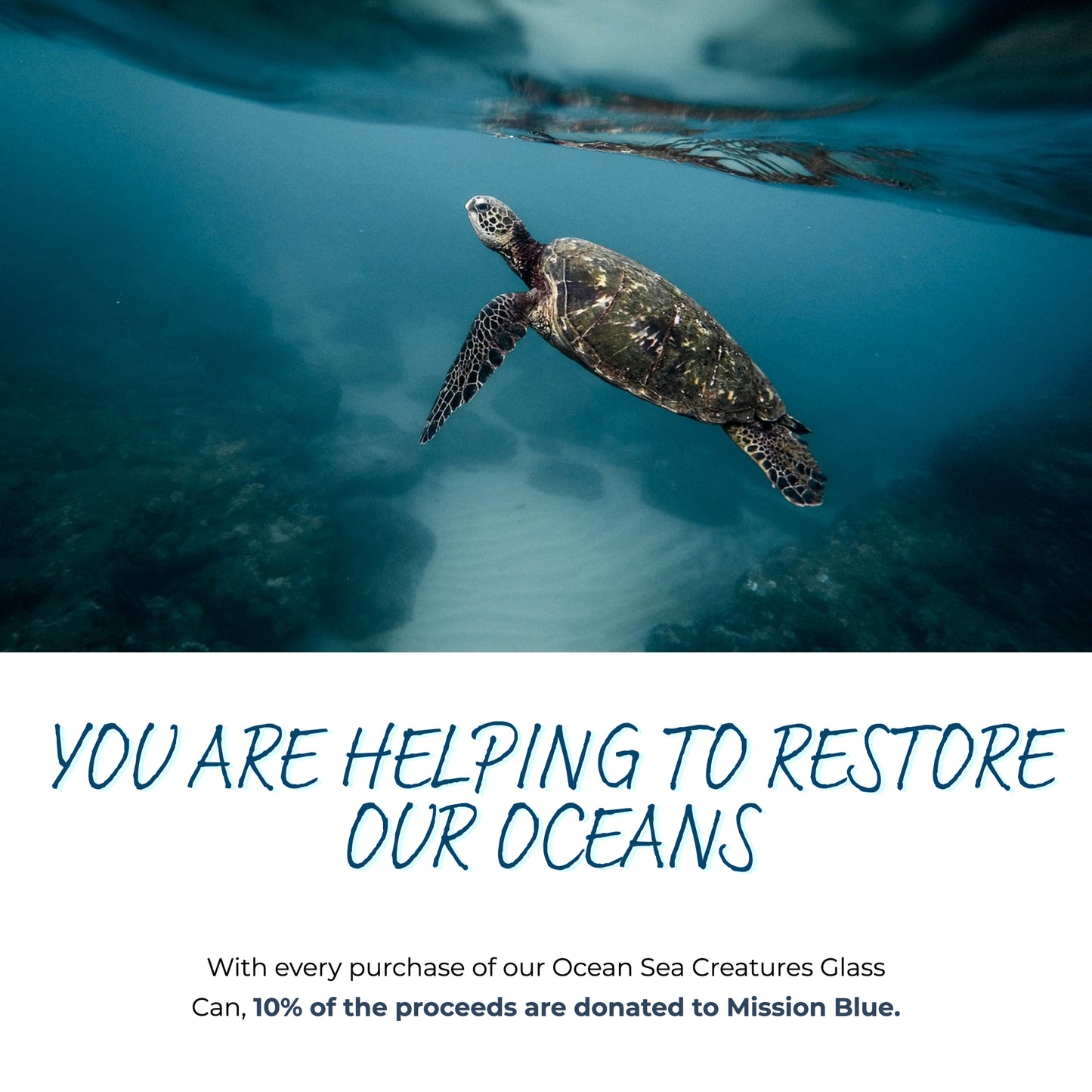 You are helping to restore our oceans. With every purchase of our Ocean Sea Creatures Glass Can, 10% of the net proceeds are donated to Mission Blue to continue their efforts in creating marine protected areas, or &quot;Hope Spots&quot;