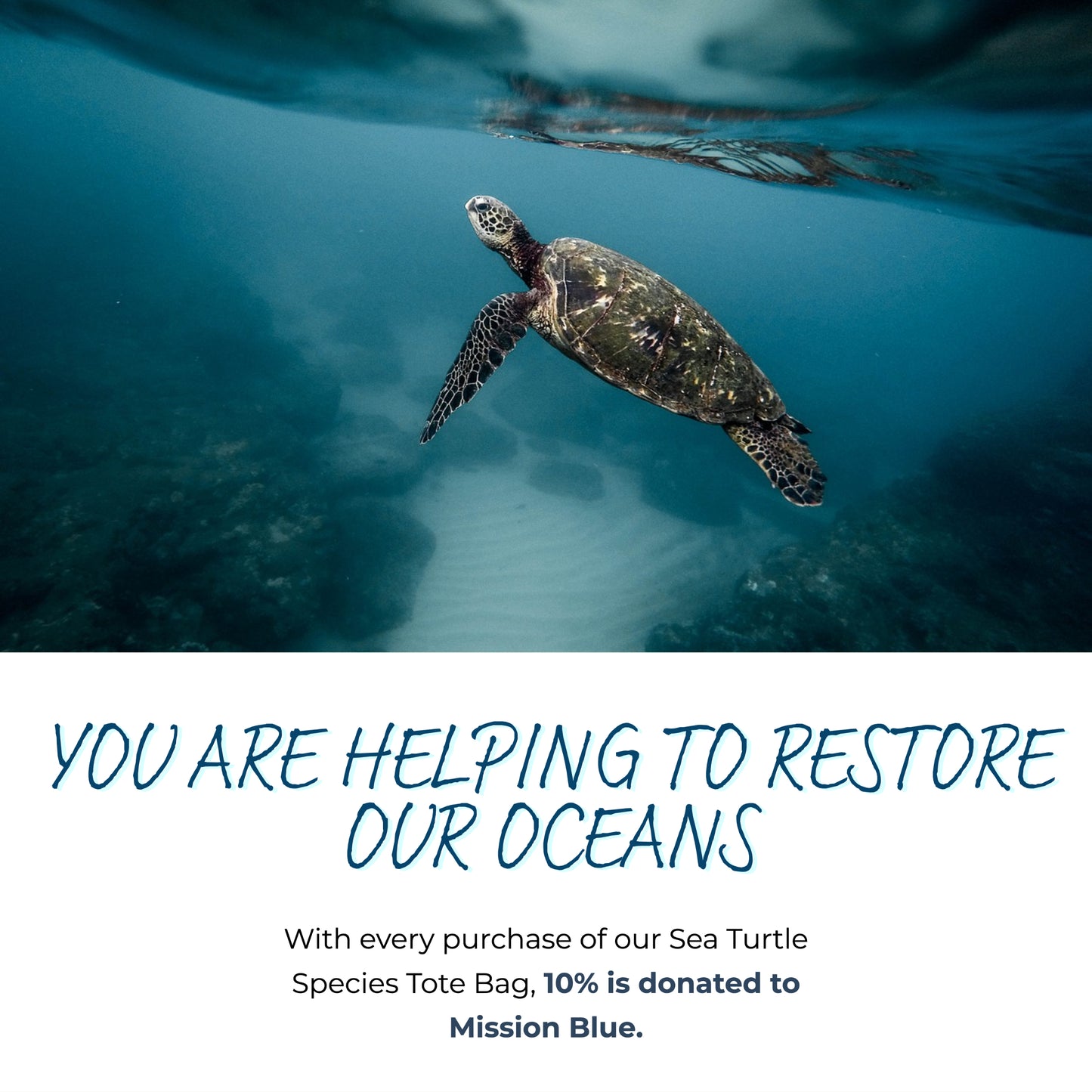 7 Sea Turtle Species Tote Bag - sweetsherriloudesigns - 10% of proceeds donated to Ocean Conservation