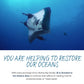You are helping to restore our oceans. With every purchase of our Manta Ray Sticker, 10% of the net proceeds are donated to Mission Blue to continue their efforts in creating marine protected areas, or "Hope Spots"