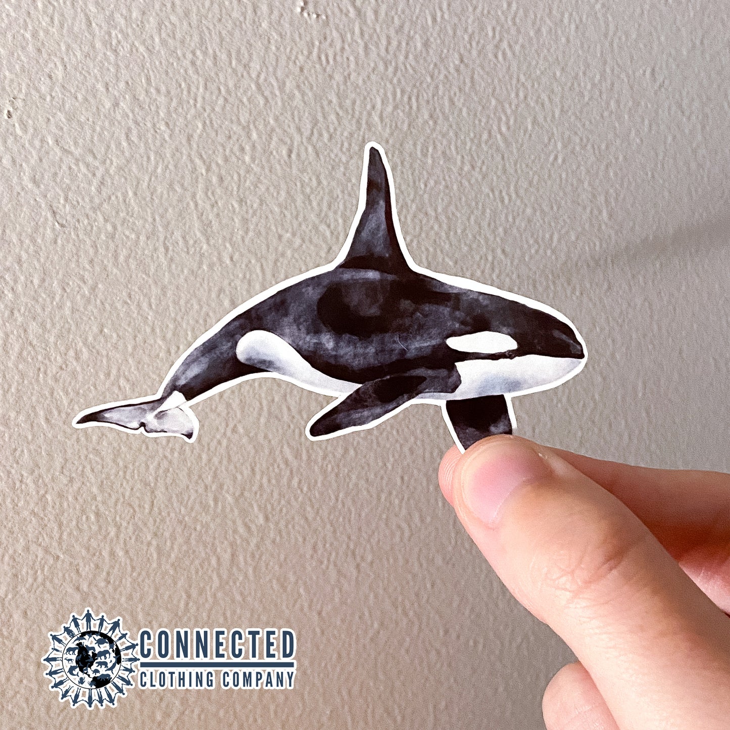 Orca Sticker - sweetsherriloudesigns - 10% of proceeds donated to Wild Orca nonprofit