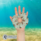 Hand Holding Sea Turtle Scrunchie - sweetsherriloudesigns - Ethical & Sustainable Apparel - 10% donated to save the sea turtles