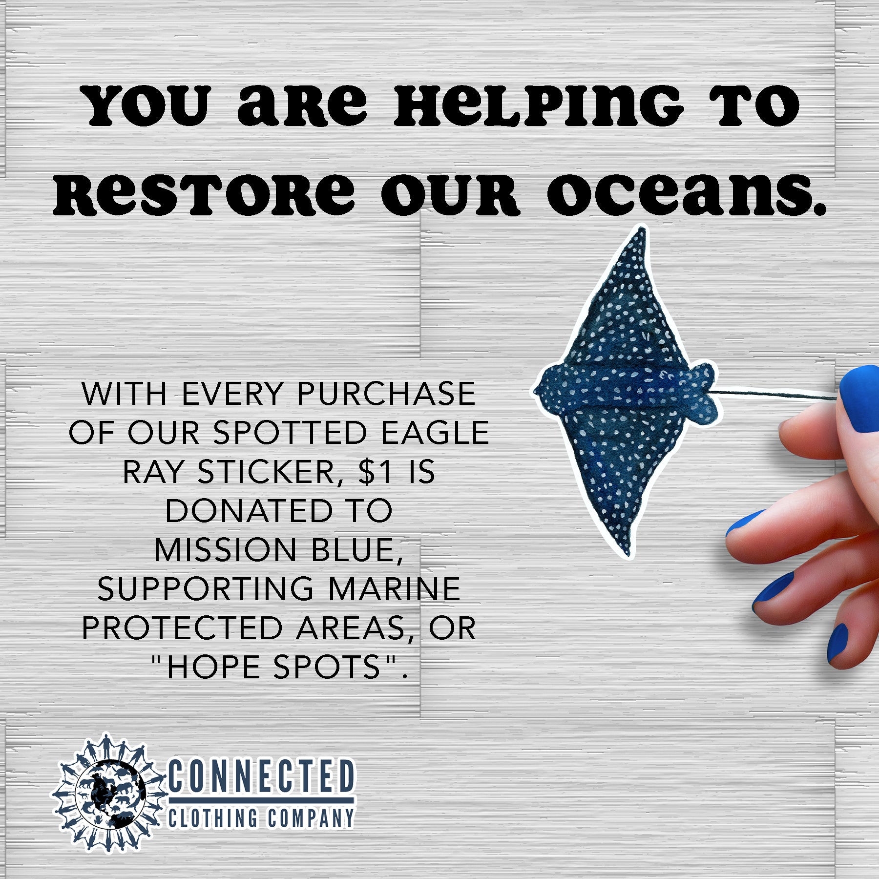Spotted Eagle Ray Sticker - sweetsherriloudesigns - 10% donated to ocean conservation - "you are helping to restore our oceans. with every purchase of our spotted eagle ray sticker, $1 is donated to Mission Blue, supporting marine protected areas, or hope spots."