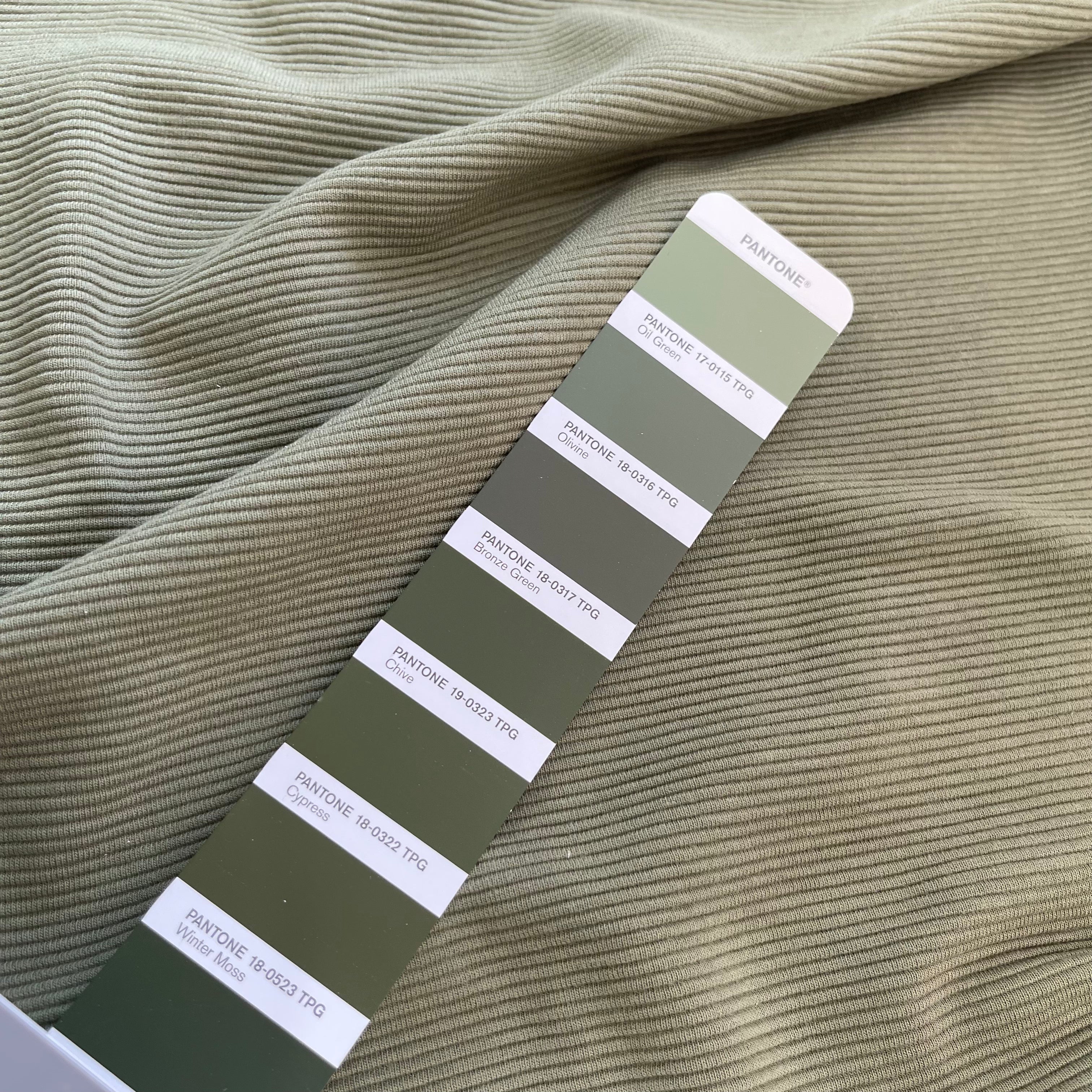Ottoman Cotton Ribbed Knit in Olive