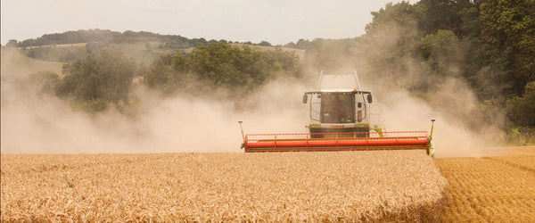 Harvest at Barton Hill Farm