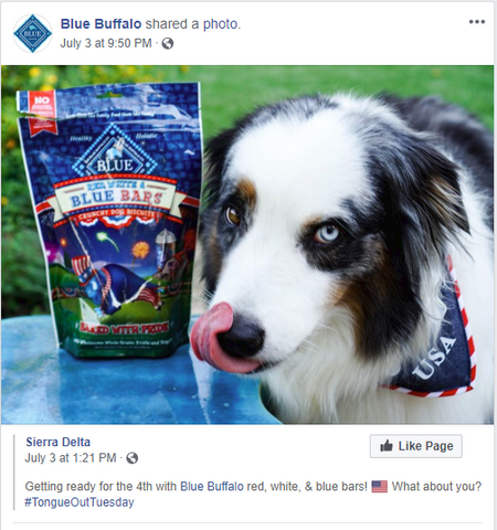 Marketing your pet products on social media