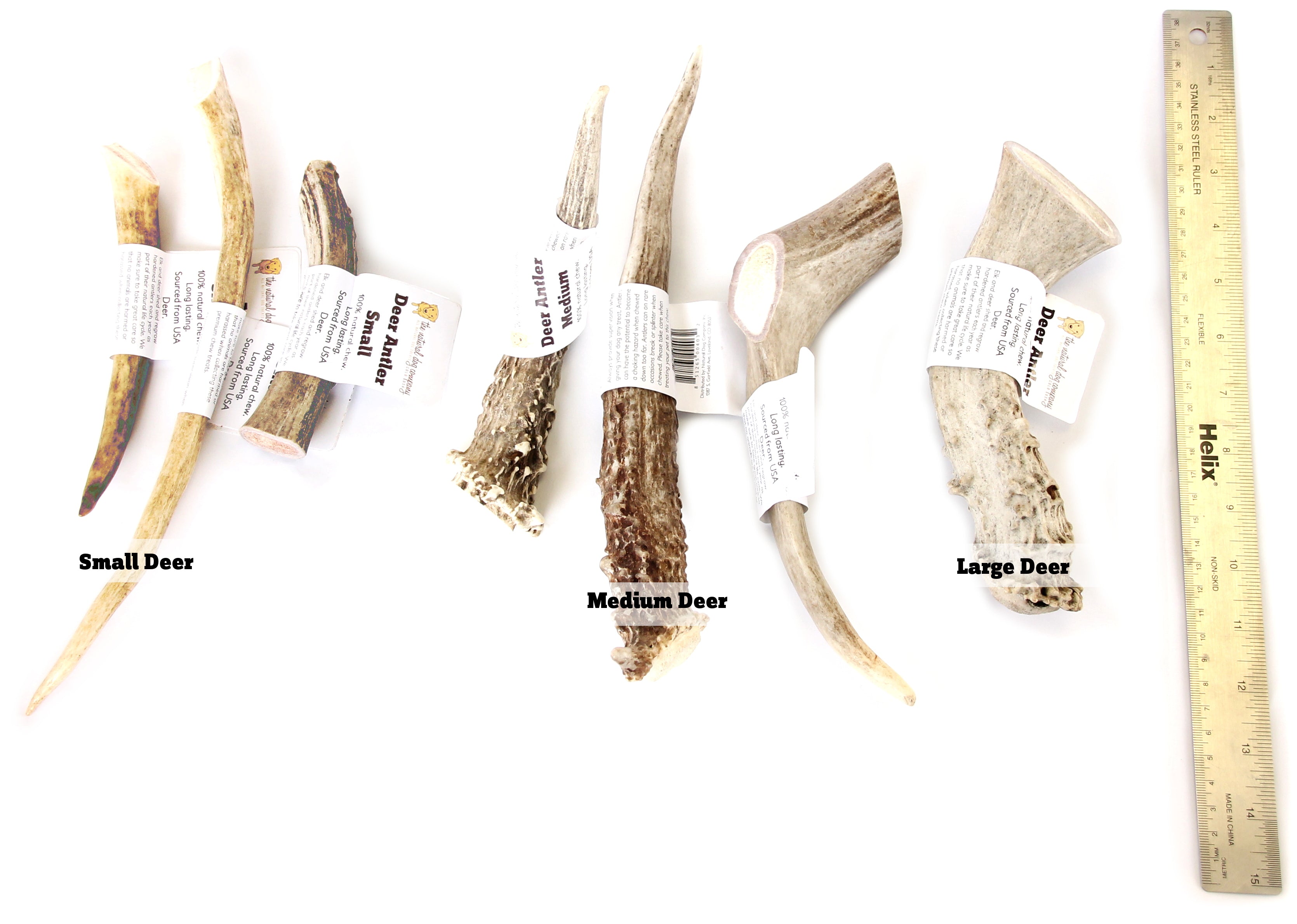 Comparing deer antler sizes