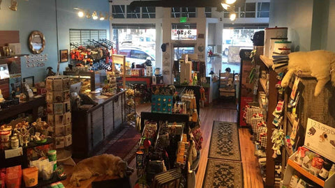 Inside a specialty pet supply store