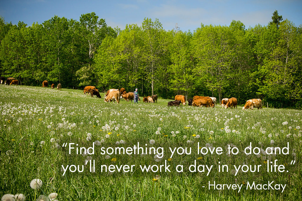 "Find something you love to do and you'll never work a day in your life." - Harvey MacKay