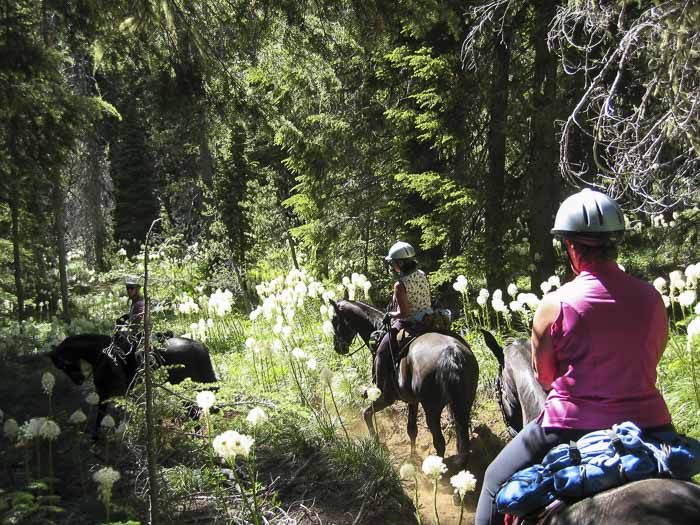 Big Meadows Horse Camp